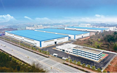 湖南奇力新電子科技有限公司